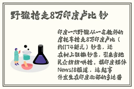 糖心vlogapp下载官网